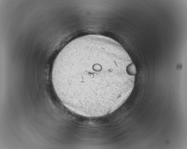 X0000110870739200907161438