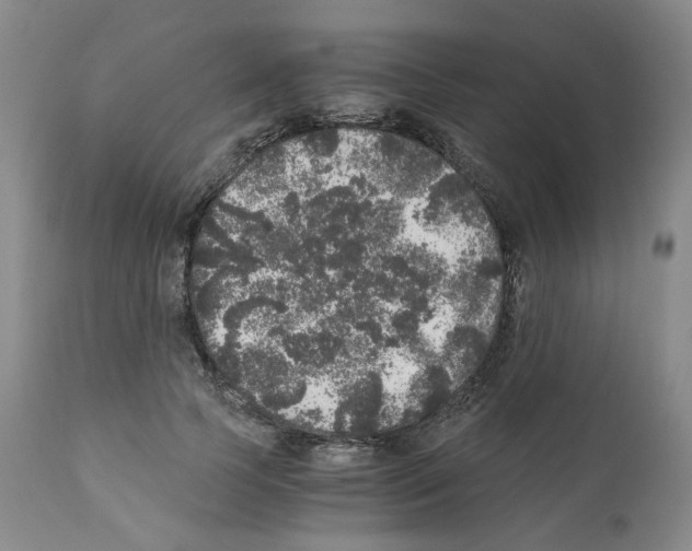 X0000110870745200907161438