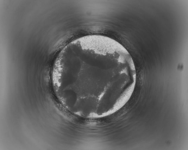 X0000110870746200907161438