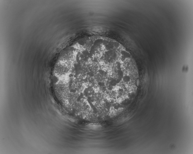 X0000110870749200907161438