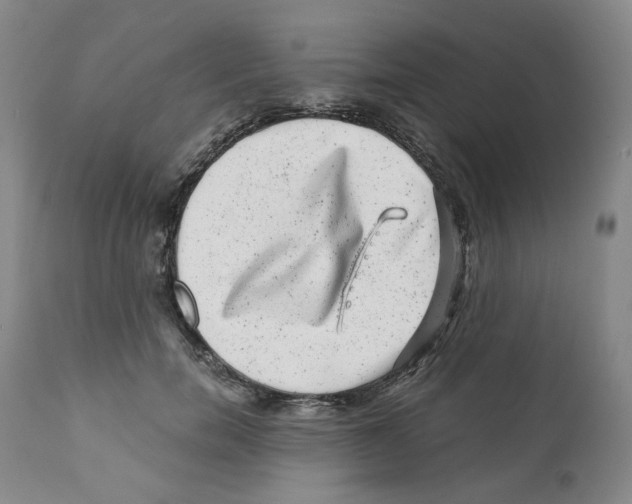 X0000110870750200907161438