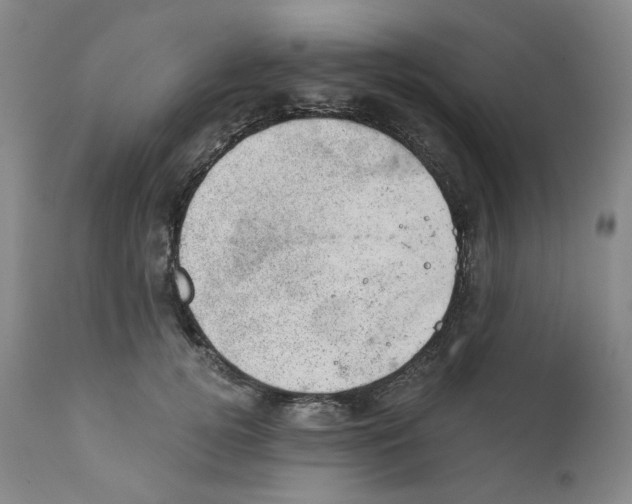 X0000110870752200907161438