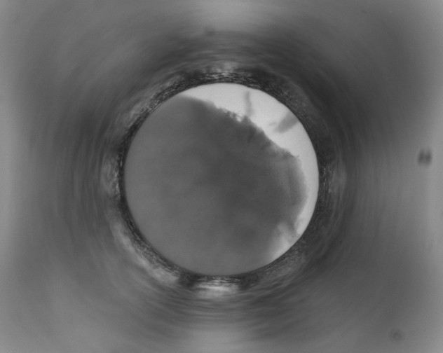 X0000110870754200907161438