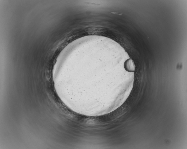 X0000110870755200907161438