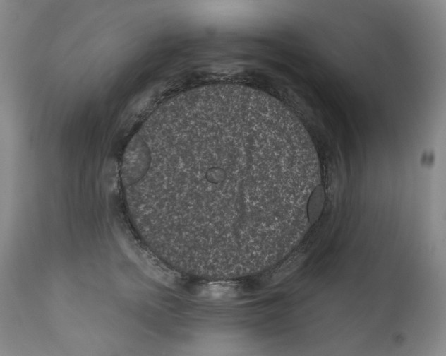 X0000110870758200907161438