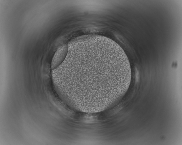 X0000110870760200907161438