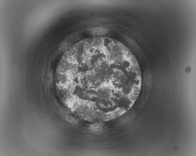 X0000110870761200907161438