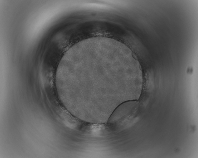 X0000110870762200907161438