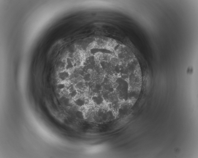 X0000110870765200907161438