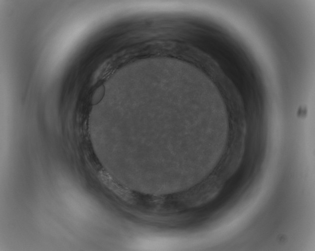 X0000110870767200907161438