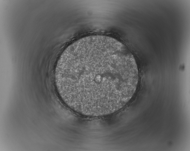 X0000110870769200907161438