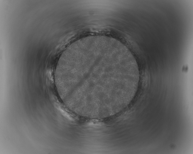 X0000110870770200907161438