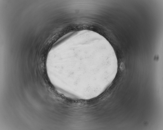 X0000110870771200907161438