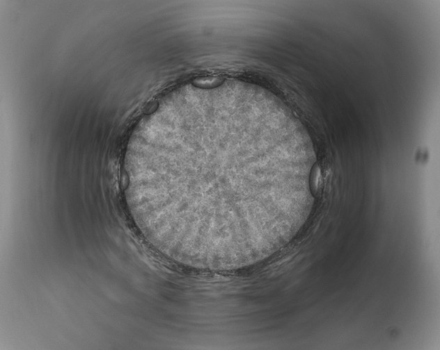 X0000110870772200907161438