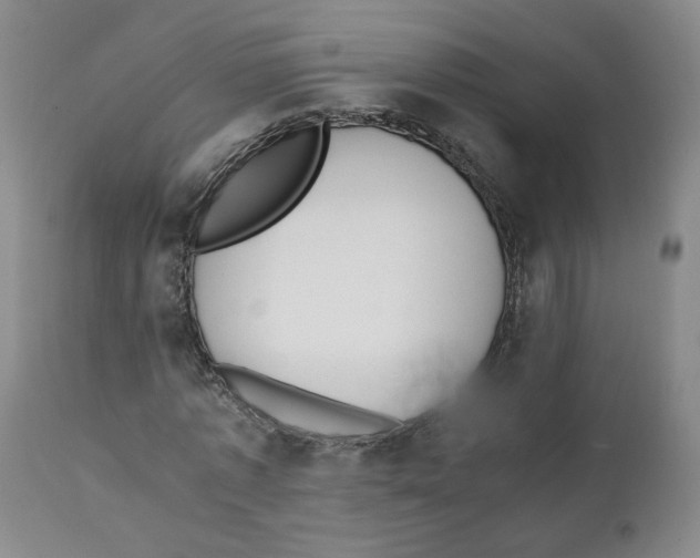 X0000110870773200907161438