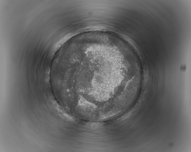 X0000110870778200907161437