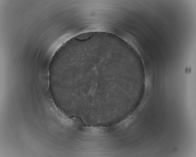 X0000110870781200907161437