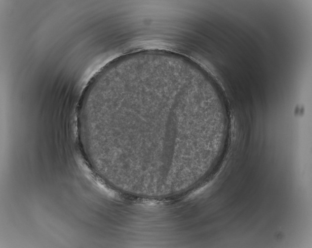 X0000110870782200907161437