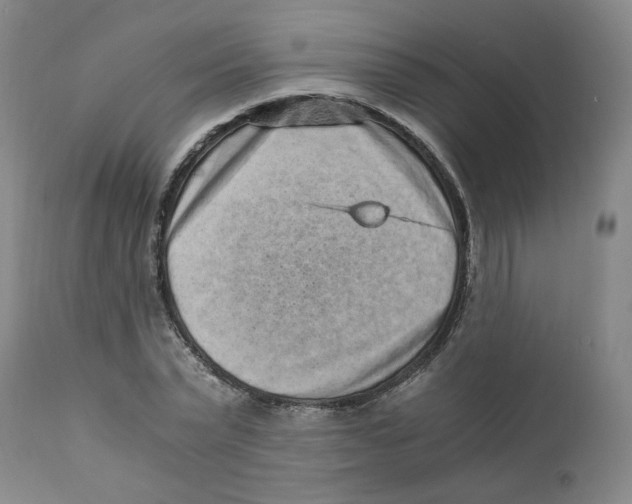 X0000110870783200907161437