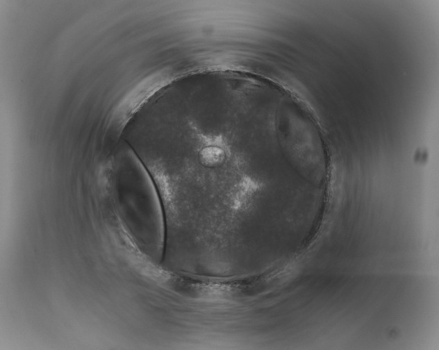 X0000110870785200907161437