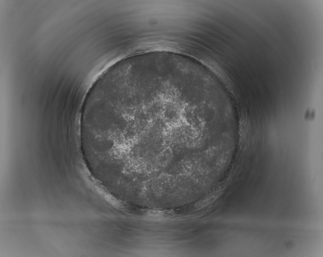 X0000110870790200907161437