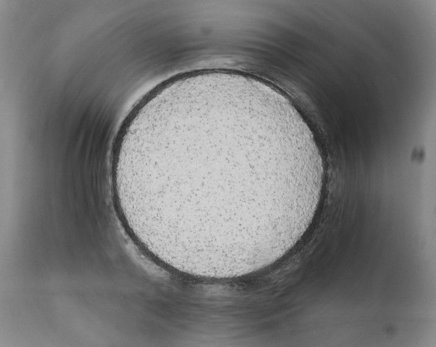 X0000110870792200907161437