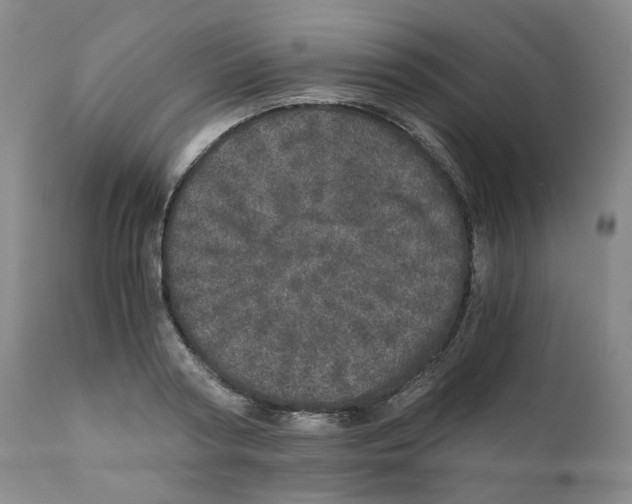 X0000110870794200907161437