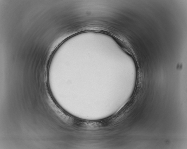 X0000110870795200907161437