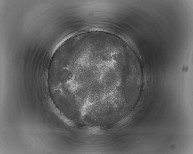 X0000110870798200907161437