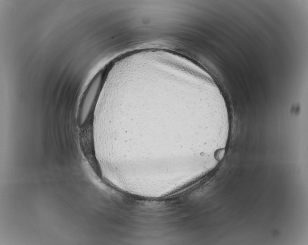 X0000110870800200907161437