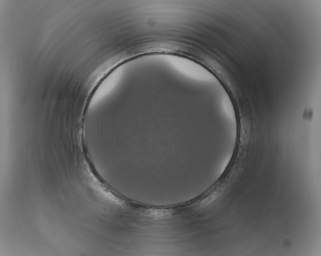 X0000110870802200907161437