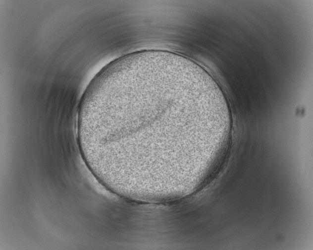 X0000110870804200907161437