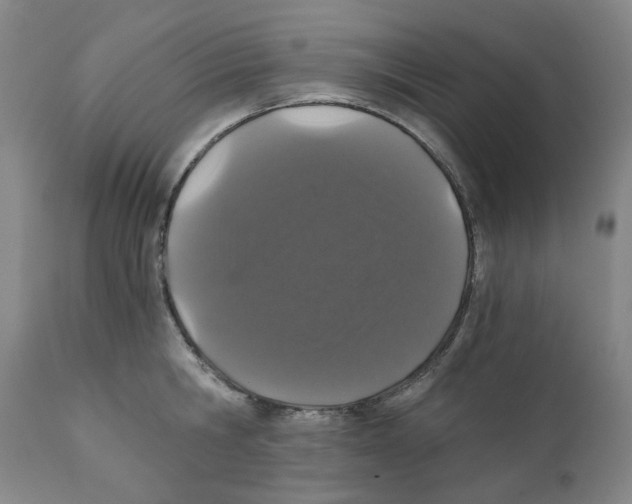 X0000110870806200907161437