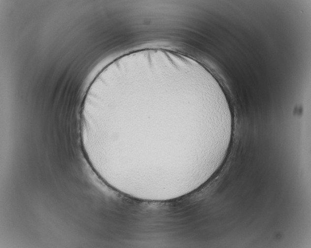 X0000110870808200907161437