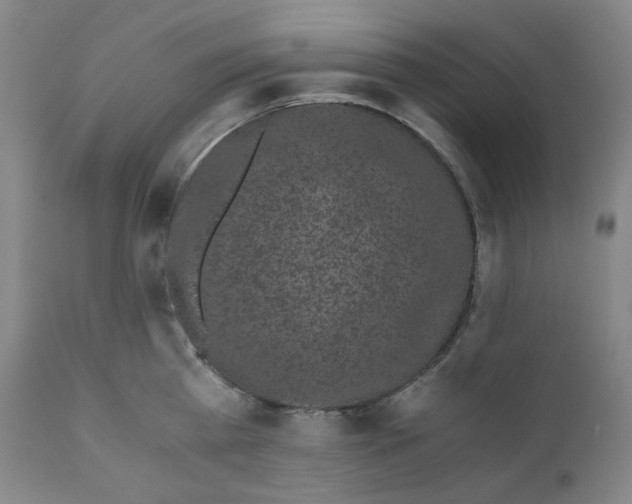 X0000110870809200907161437