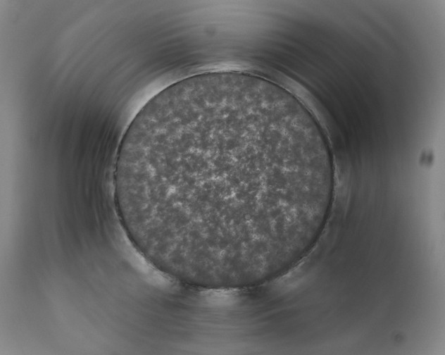 X0000110870810200907161437