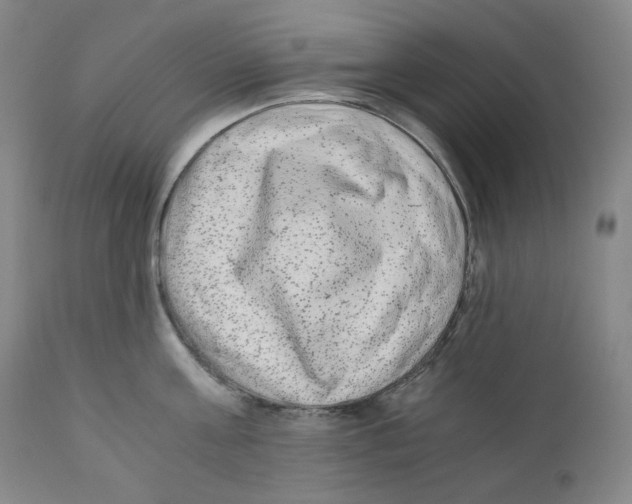 X0000110870811200907161437