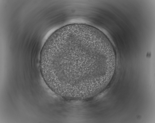 X0000110870815200907161437