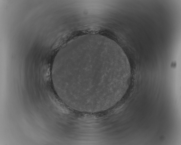 X0000110870818200907161436