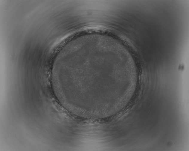 X0000110870822200907161436