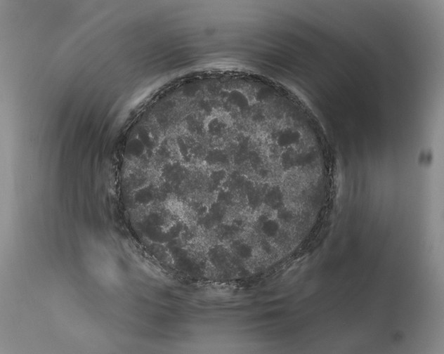 X0000110870823200907161436