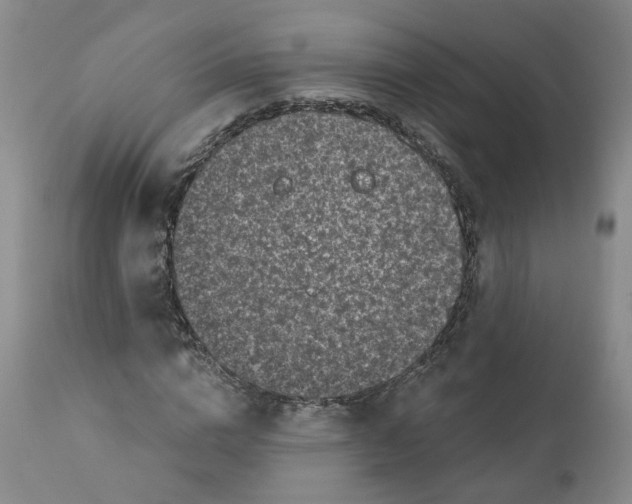 X0000110870824200907161436