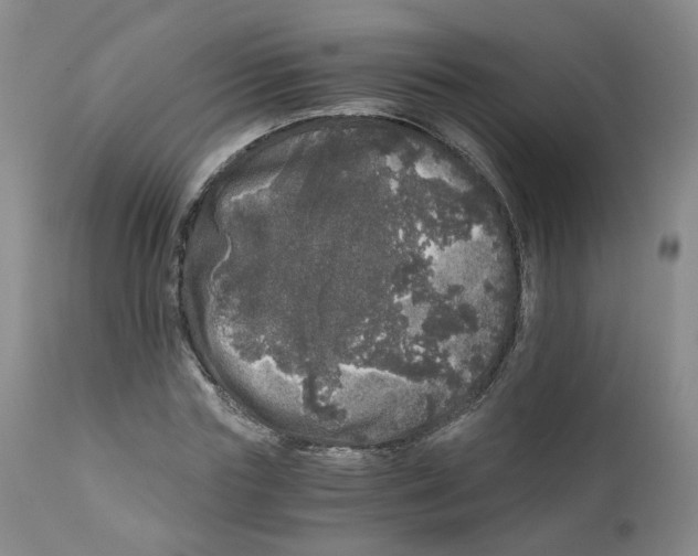 X0000110870827200907161436