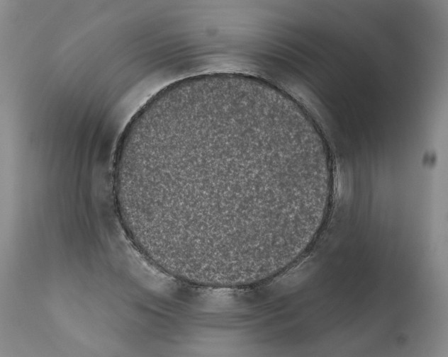 X0000110870828200907161436