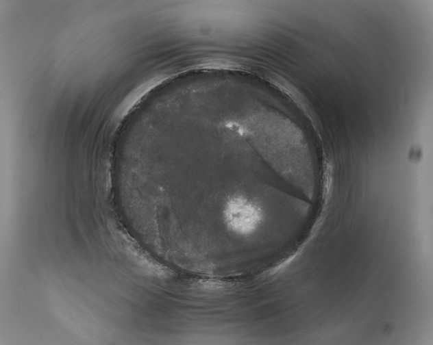 X0000110870829200907161436