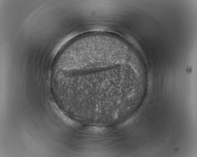 X0000110870831200907161436