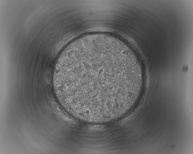 X0000110870833200907161436