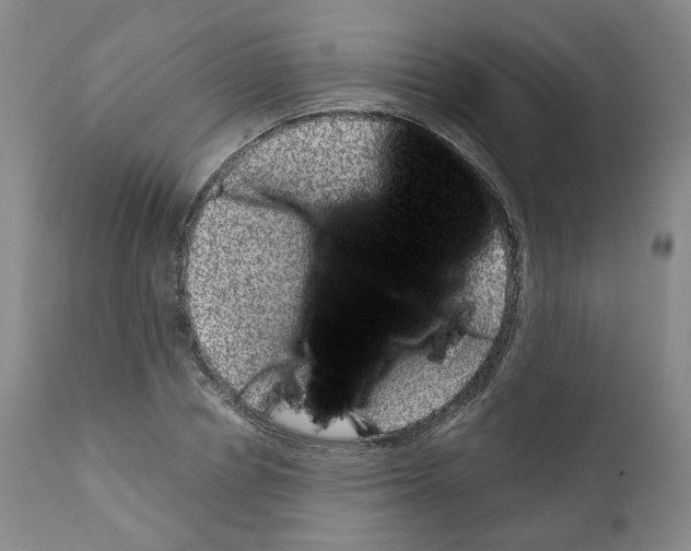 X0000110870834200907161436