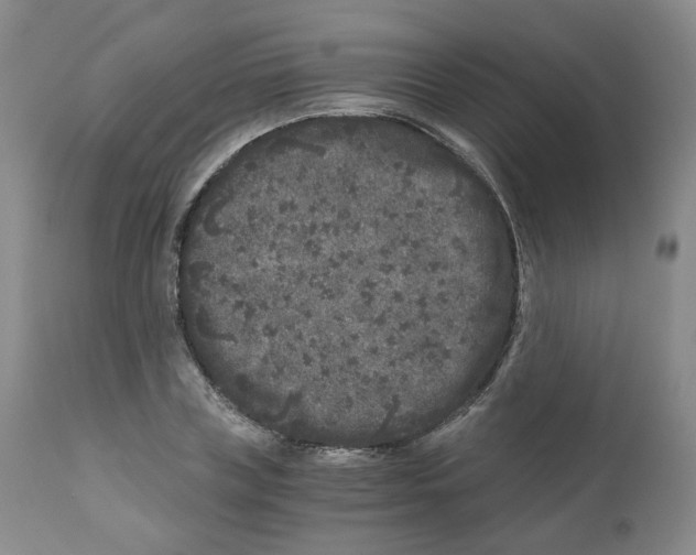 X0000110870835200907161437