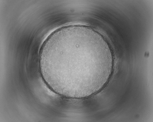 X0000110870836200907161437